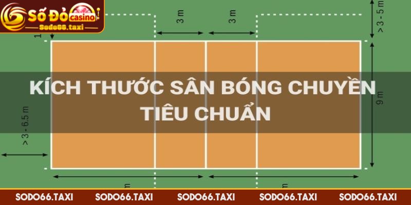 Kích Thước Sân Bóng Chuyền – Tìm Hiểu Đầy Đủ Thông Tin Mô tả chuẩn kích thước sân bóng chuyền