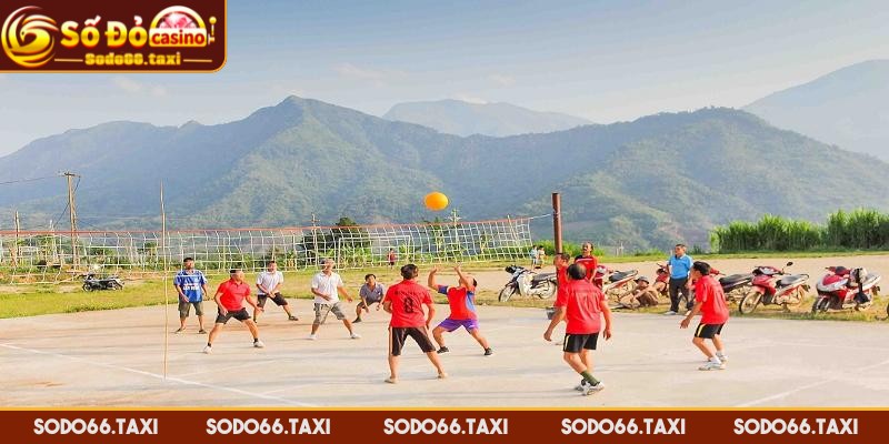 Luật Chơi Bóng Chuyền Cơ Bản Cho Người Mới Bắt Đầu Mỗi đội gồm 6 vận động viên thi đấu chính thức