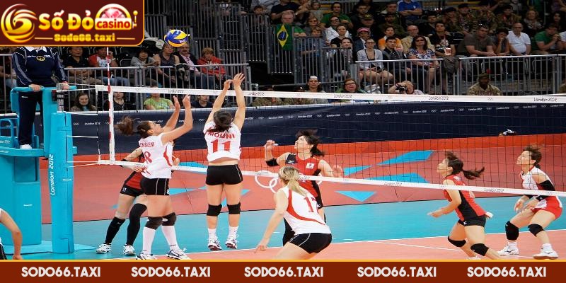 Luật Chơi Bóng Chuyền Cơ Bản Cho Người Mới Bắt Đầu Không được để chân hoặc tay vượt qua vạch giữa sân