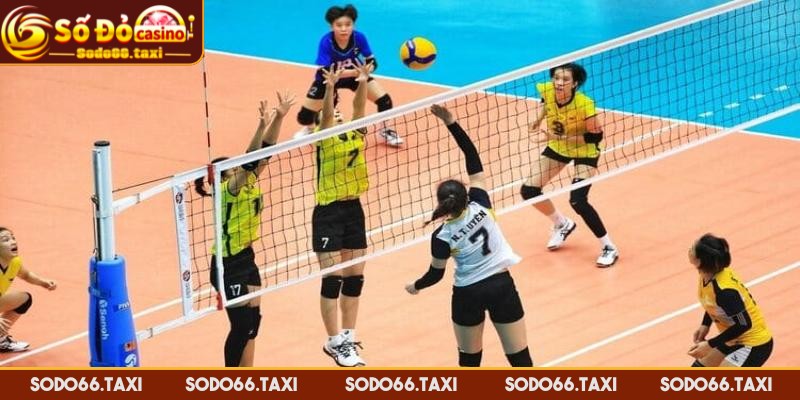 Luật Chơi Bóng Chuyền Cơ Bản Cho Người Mới Bắt Đầu Thông tin về Luật Chơi Bóng Chuyền