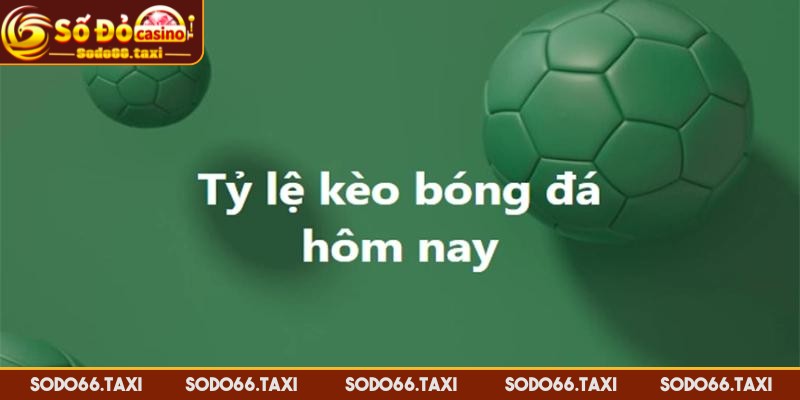 Tỷ Lệ Kèo Nhà Cái 5 - Chìa Khóa Thành Công Của Mọi Cược Thủ Sơ lược về tỷ lệ kèo nhà cái 5