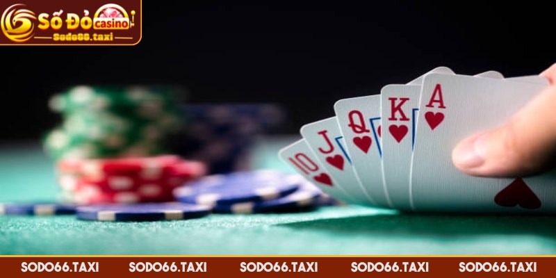 Xì Tố - Hướng Dẫn Từ A-Z Để Thành Bậc Thầy Trong Trò Chơi Các thuật ngữ cơ bản cần nắm rõ khi chơi